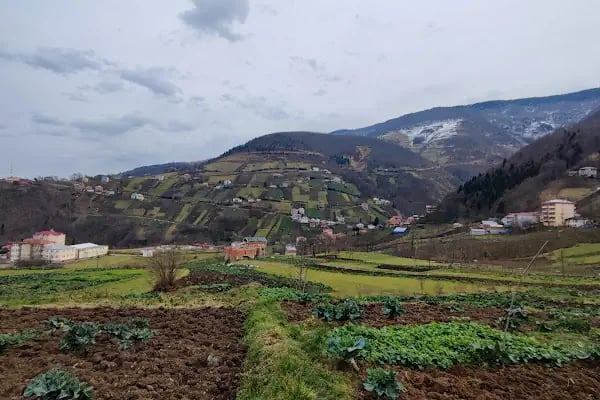 Pontos/ Byzantine Church , Tarihi Pontus Kilisesi - Resim 1