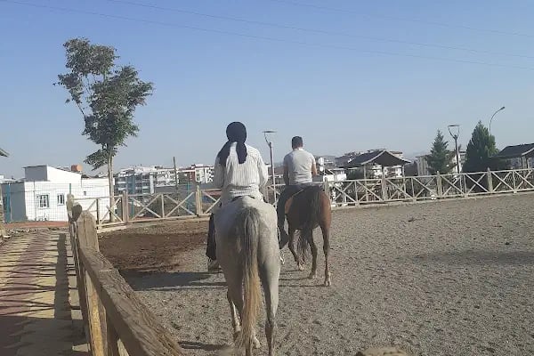 TÜRKOĞLU AT ÇIFTLİGİ - Resim 3