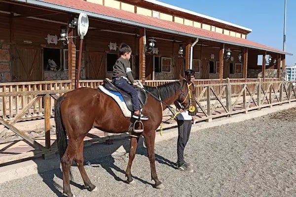 TÜRKOĞLU AT ÇIFTLİGİ - Resim 1