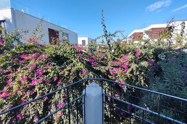 Serpina Hotel - Resim 16