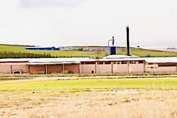 Tokur Ağaç Akyurt - Resim 4
