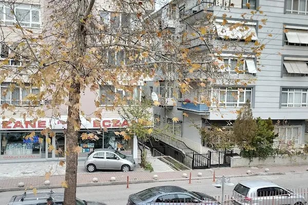 Dışkapı - Resim 11