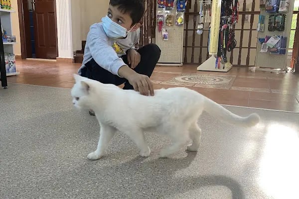 Hekimköy veteriner kliniği - Resim 11