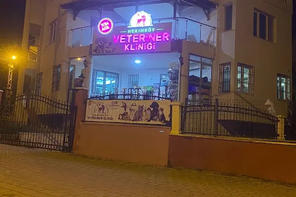 Hekimköy veteriner kliniği - Resim 5