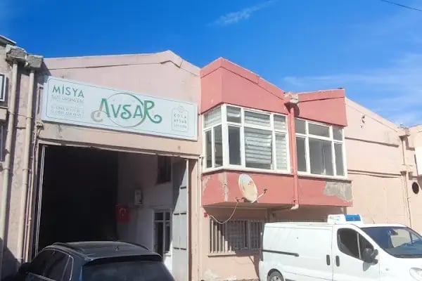 KOCAAVŞAR SÜT - Resim 1