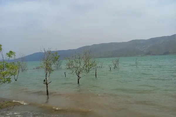 Birecik Kız Anadolu İmam Hatip Lisesi - Resim 4