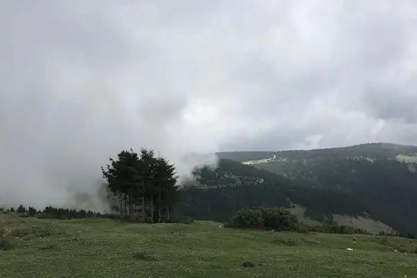 Kayabaşı Tabiat Parkı - Resim 8