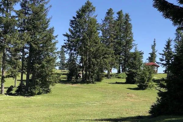 Kayabaşı Tabiat Parkı - Resim 3