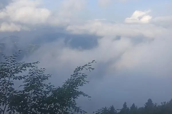 Kayabaşı Tabiat Parkı - Resim 17