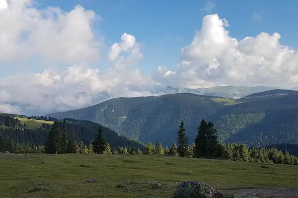 Kayabaşı Tabiat Parkı - Resim 4