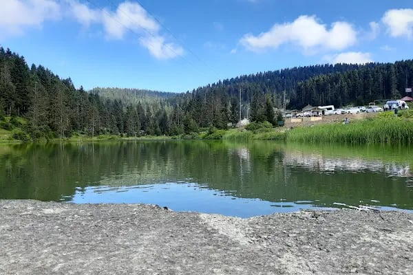 Kayabaşı Tabiat Parkı - Resim 11