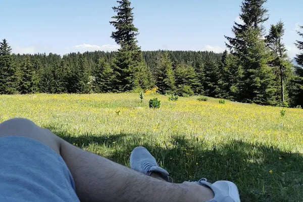 Kayabaşı Tabiat Parkı - Resim 13