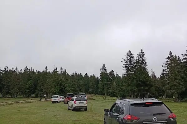 Kayabaşı Tabiat Parkı - Resim 19