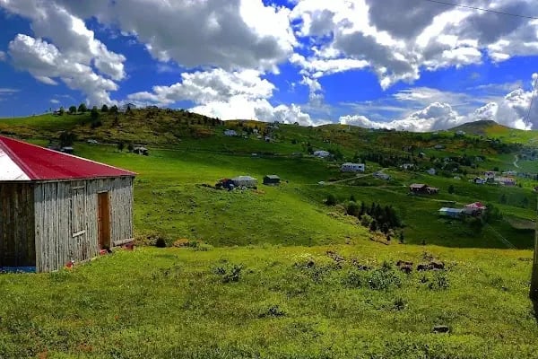 Kayabaşı Tabiat Parkı - Resim 7