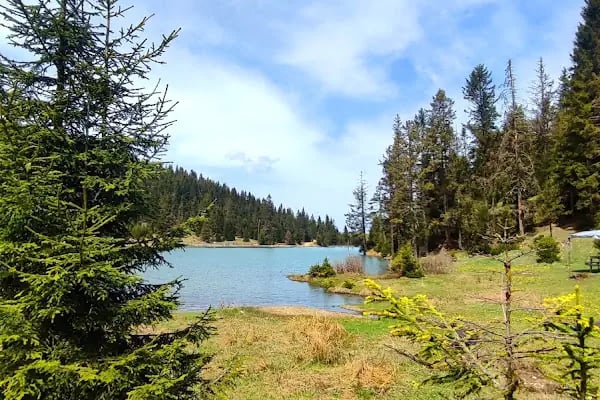 Kayabaşı Tabiat Parkı - Resim 9