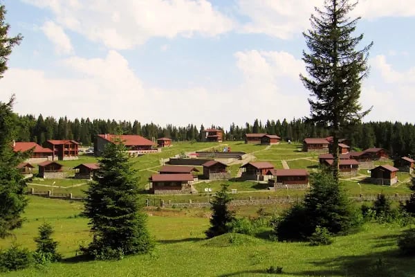 Kayabaşı Tabiat Parkı - Resim 10