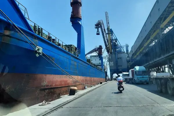 Mersin Uluslararası Liman İşletmeciliği AŞ - Resim 15