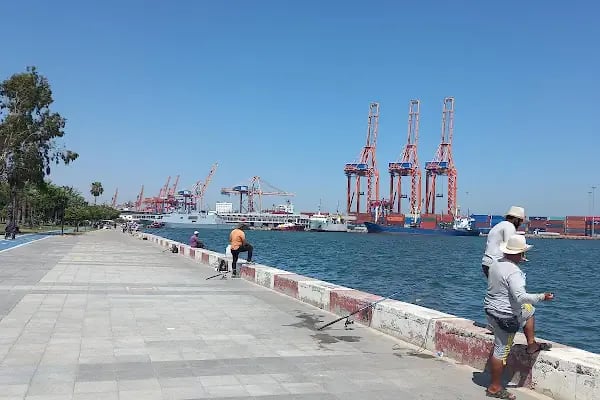 Mersin Uluslararası Liman İşletmeciliği AŞ - Resim 7