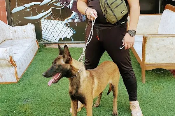 Başkent arena mma spor salonu - Resim 10
