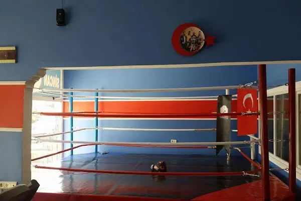 Başkent arena mma spor salonu - Resim 7