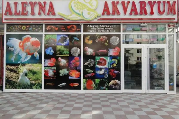 Aleyna Akvaryum Petshop Sincan - Resim 6