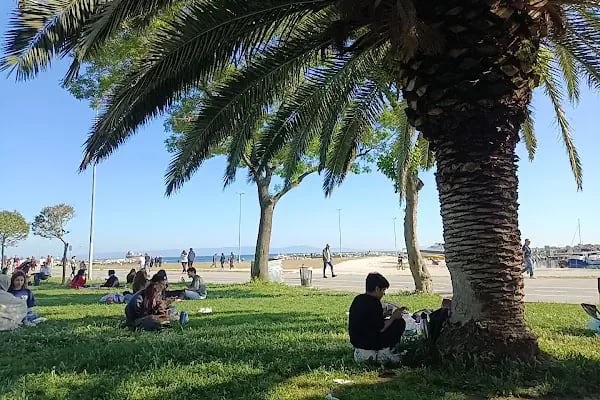 Yeşilköy Yat Limanı - Resim 14
