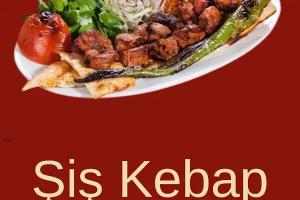 BİTEZ MANGAL - Resim 3