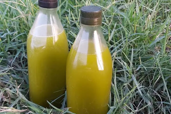 Çömden Zeytinyağı Fabrikası Hüdaverdi gıda san ve tic ltd sti - Resim 18