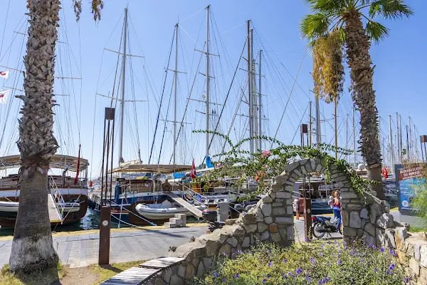 Bodrum marina - Resim 13