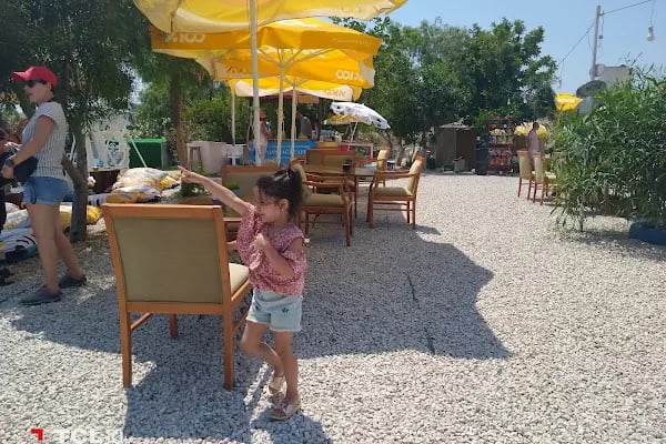 Gümbet Yeldeğirmenleri - Resim 8
