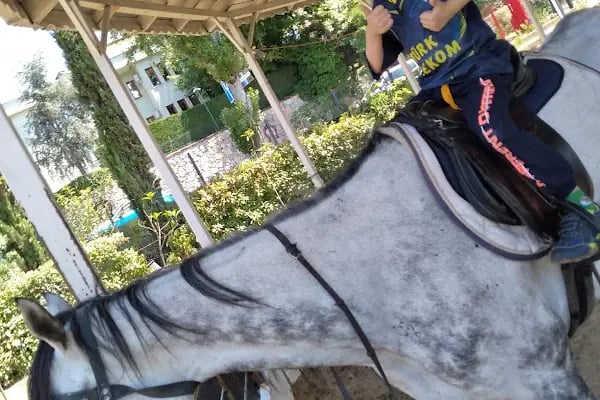 Çekmeköy Atlı Binicilik Kulübü - Resim 13