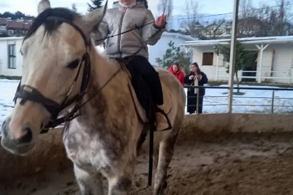 Çekmeköy Atlı Binicilik Kulübü - Resim 10