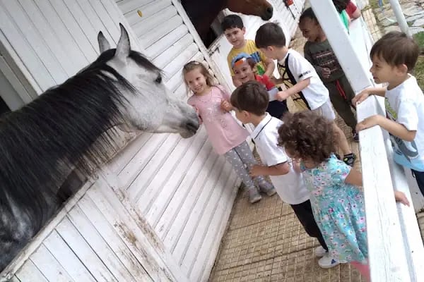 Çekmeköy Atlı Binicilik Kulübü - Resim 18