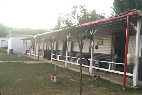 Çekmeköy Atlı Binicilik Kulübü - Resim 12