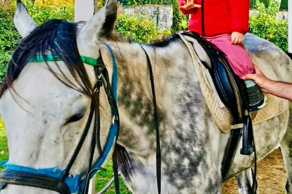 Çekmeköy Atlı Binicilik Kulübü - Resim 3