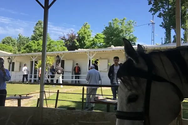 Çekmeköy Atlı Binicilik Kulübü - Resim 4