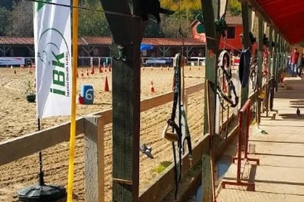 Çekmeköy Atlı Binicilik Kulübü - Resim 8