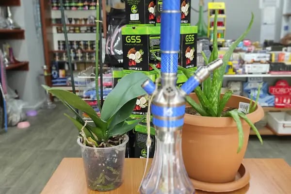 Temel Tobacco ve Nargile - Resim 6