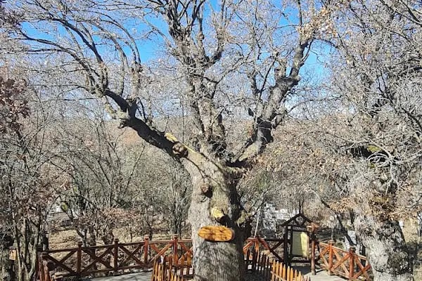 Çamlıdere Emanetler Müzesi - Resim 15
