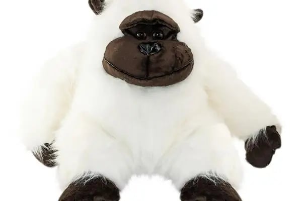 Jajo Toys - Resim 13
