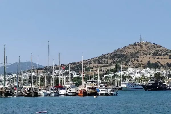 Güler Mustafa Kızılağaç İlkokulu - Resim 6