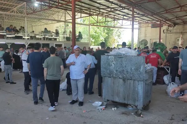 Bursa,Gürsu Çiftliği - Resim 5