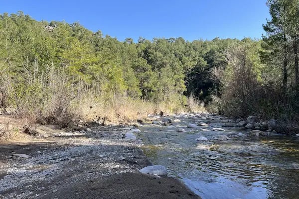 Güllük Dağı Milli Parkı - Resim 15
