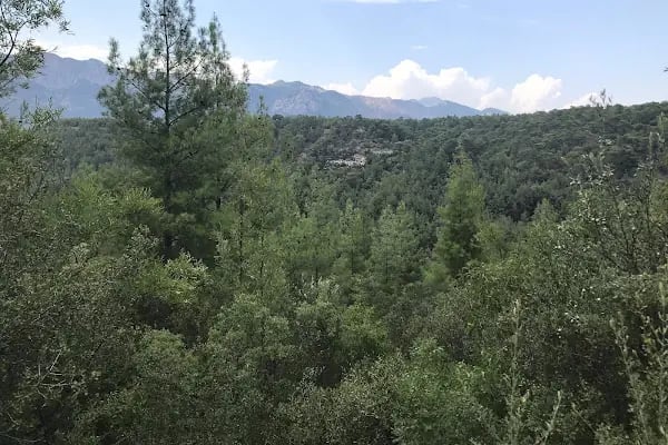 Güllük Dağı Milli Parkı - Resim 9