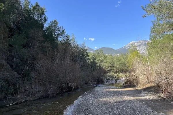Güllük Dağı Milli Parkı - Resim 18