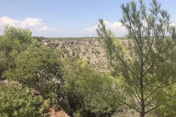 Güllük Dağı Milli Parkı - Resim 11