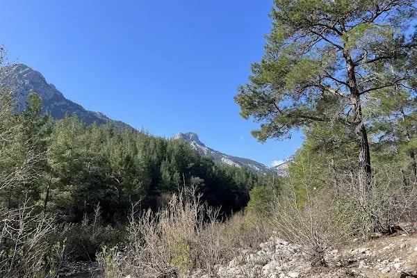 Güllük Dağı Milli Parkı - Resim 5