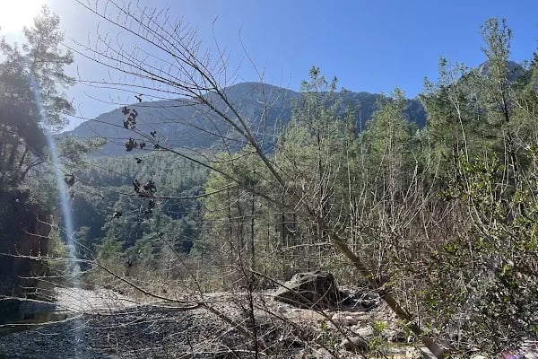 Güllük Dağı Milli Parkı - Resim 6