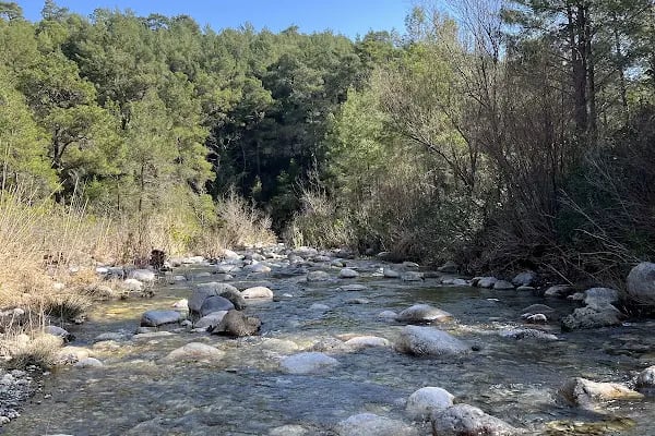 Güllük Dağı Milli Parkı - Resim 7