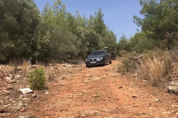 Güllük Dağı Milli Parkı - Resim 13